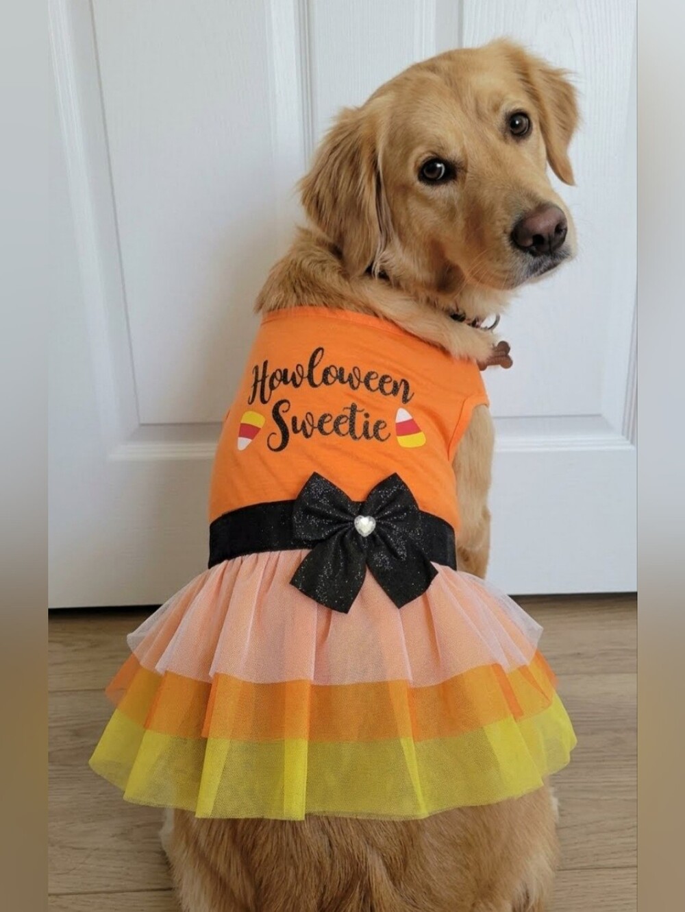 Pet Animal Halloween Tutu Dress with Bow for Dogs NWT - Picture 2 of 5